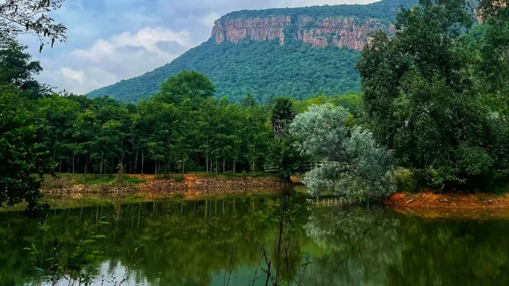 Padmavathi Ammavari Temple in Tiruchanur Near Tirupati