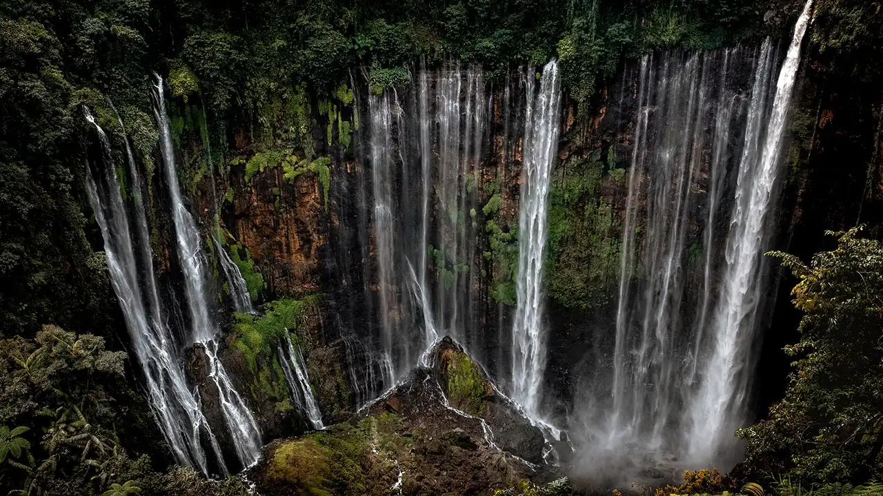 Lovina Waterfalls - Best Bali Tour Packages