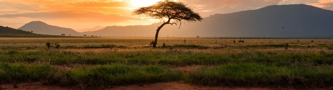 Africa tour packages holidays and trips across top travel destinations