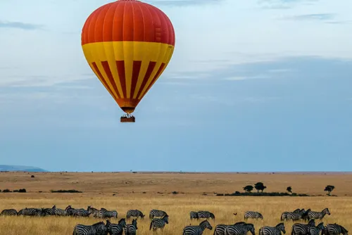 Kenya tourism with safari adventures, wildlife and scenic landscapes
