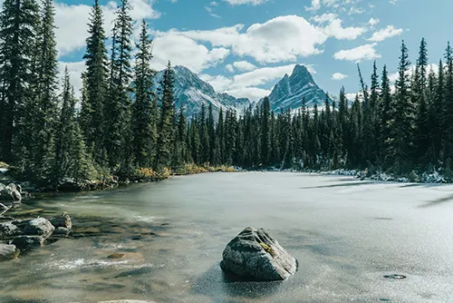 Jasper National Park tourism with mountain scenery, wildlife, and outdoor adventures