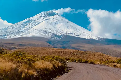Cotopaxi National Park tourism with volcano treks and scenic landscapes
