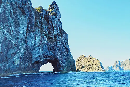 Bay of Islands tourism with scenic coastlines, cruises, and marine adventure experiences