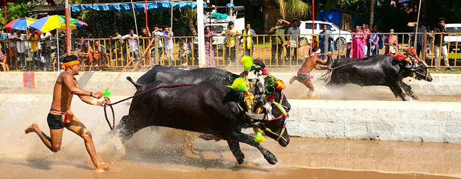 <?php echo Grandparent-Grandchild Travel Packages In Dakshina Kannada ?>