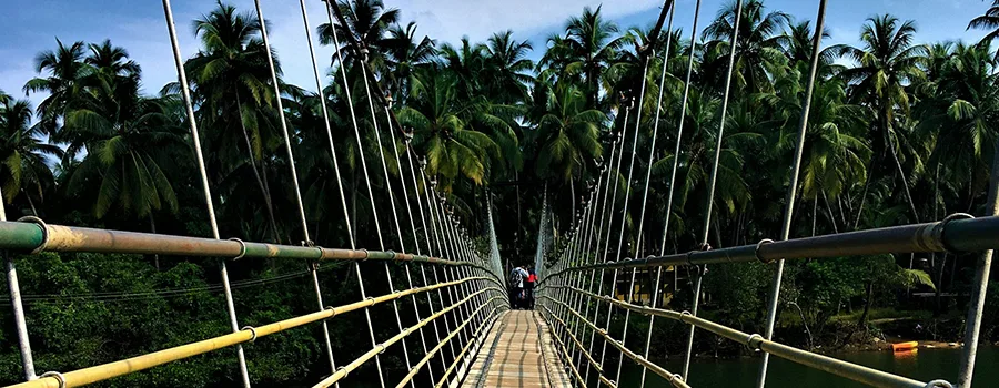 <?php echo Coastal Pilgrimage Tours For Grandparents And Family ?>