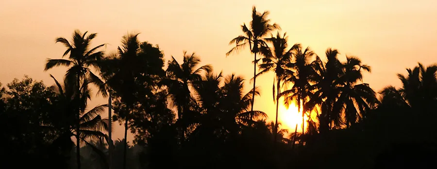 <?php echo Senior-Friendly Nature Trails In Dakshina Kannada ?>