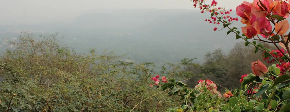 <?php echo Private Gujarat Group Tour With Customized Services and Travel Planning ?>