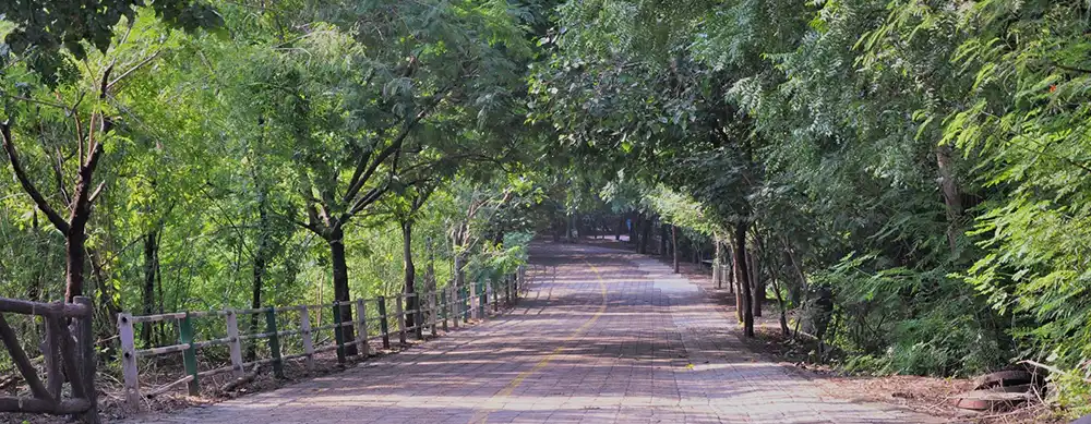 <?php echo 4N/5D Gujarat Leisure and Heritage Tour Package ?>