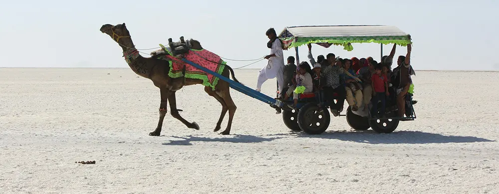 <?php echo Ahmedabad to White Rann with Bhuj and Mandvi Beach ?>