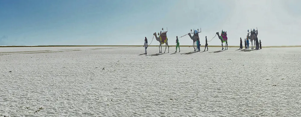 <?php echo 4N/5D Ahmedabad White Rann Bhuj and Mandvi Beach Tour Package ?>
