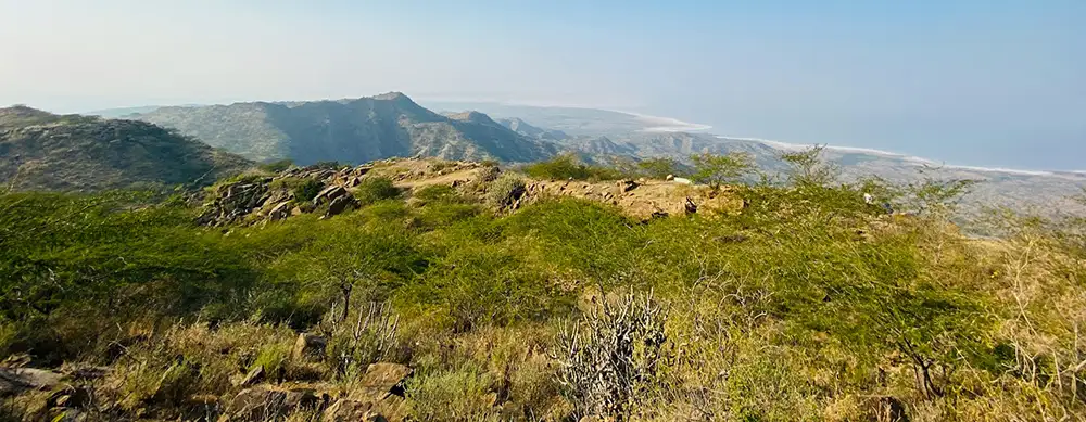 <?php echo 3N/4D Rann of Kutch, Bhuj and Mandvi Beach Holiday package ?>