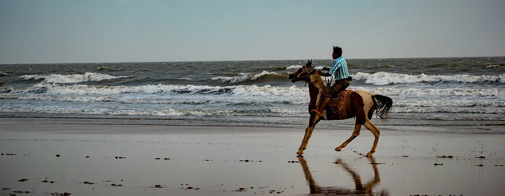 <?php echo 3N/4D White Rann of Kutch Bhuj and Mandvi Tour Package ?>