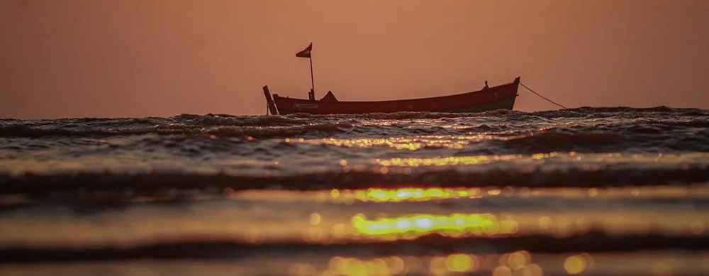 <?php echo 8 Days 7 Nights Rann of Kutch and Gir Gujarat Tour With Wildlife Experiences ?>