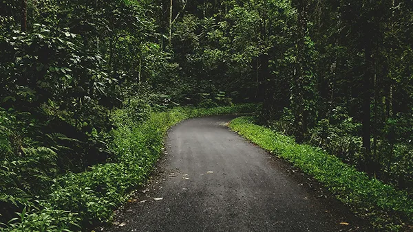 <?php echo Calm Plantation Stays for Seniors in Sakleshpur Region ?>