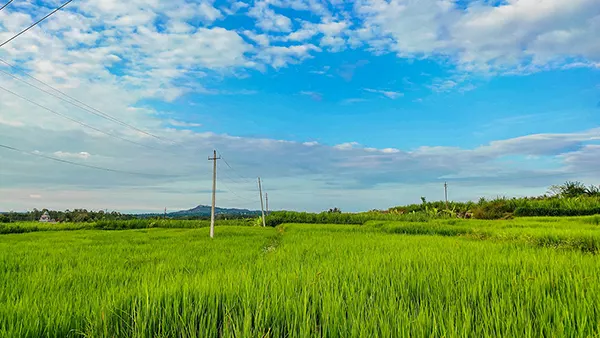 <?php echo Slow Travel Holidays for Pensioners in Sakleshpur Belt ?>