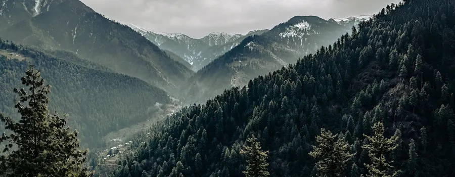 <?php echo Premium Holiday In Himachal With Luxury Accommodation ?>