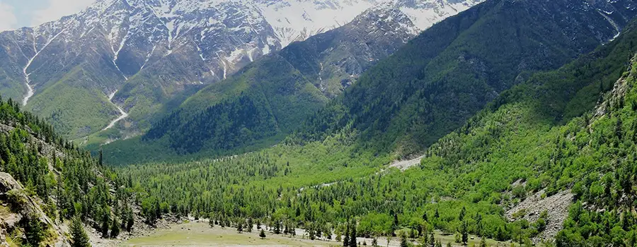 <?php echo Romantic Hill Station Tour In Himachal With Couple-Friendly Stay ?>