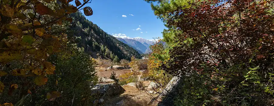 <?php echo Reserve Your Himachal Tour With Hotels And Private Travel Support ?>