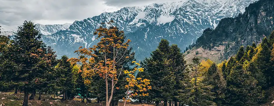 <?php echo Shimla Kufri Sightseeing Tour With Private Vehicle ?>
