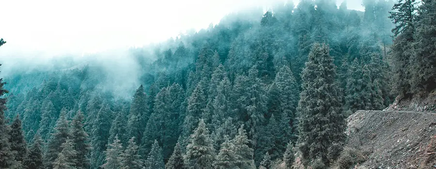 <?php echo Book Dalhousie Khajjiar Tour With Private Travel Support ?>