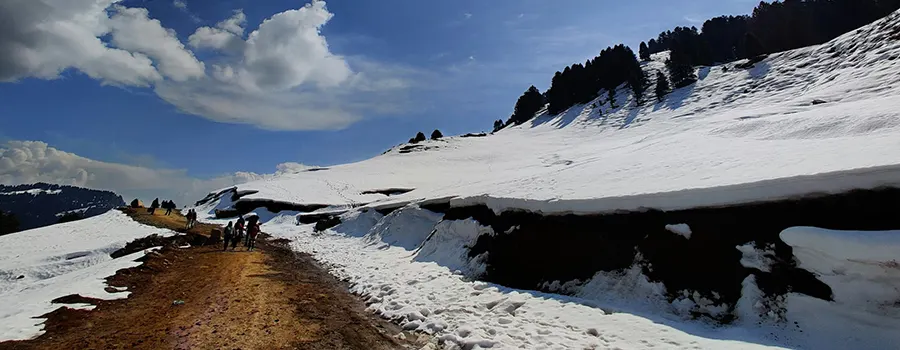 <?php echo Khajjiar Meadow Scenic Tour With Professional Travel Planning ?>
