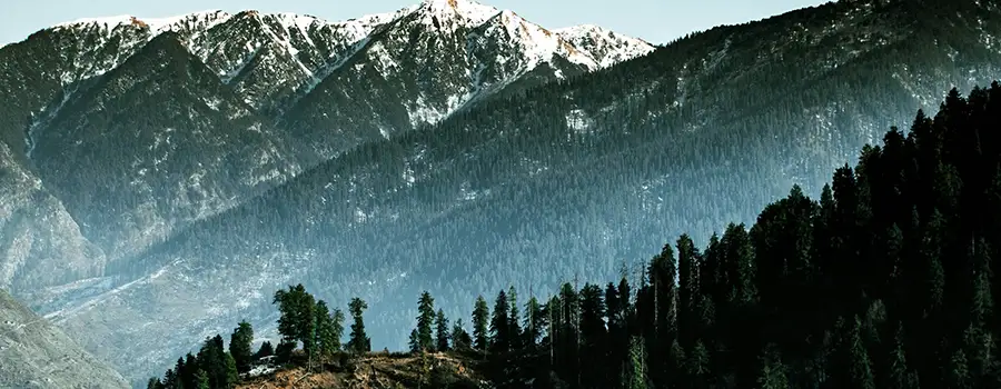 <?php echo Executive Luxury Himachal Circuit Tour With Personalized Services ?>
