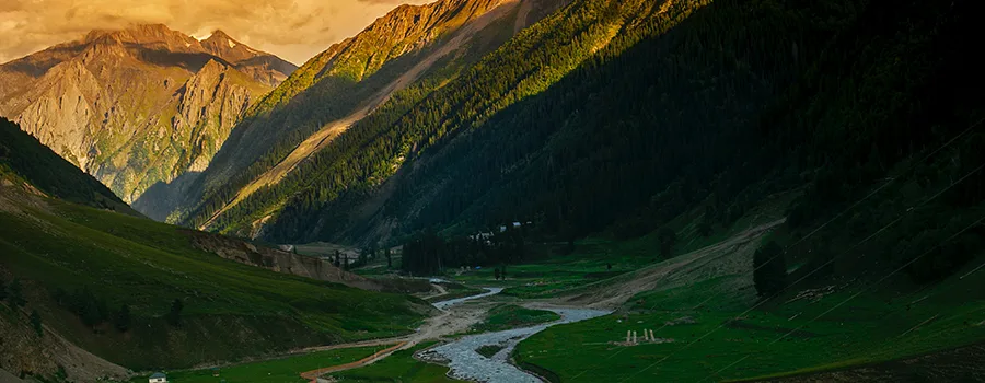 <?php echo Authentic Kashmir Traditional Food Experience ?>