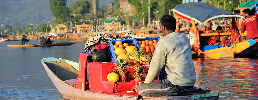 <?php echo Private Kashmir Private Sightseeing Tour with Guide ?>