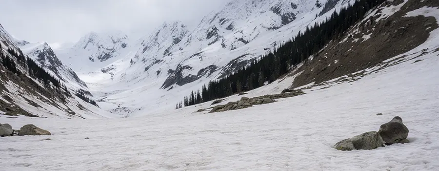 <?php echo Arrange Private Kashmir Tour with Local Guide ?>