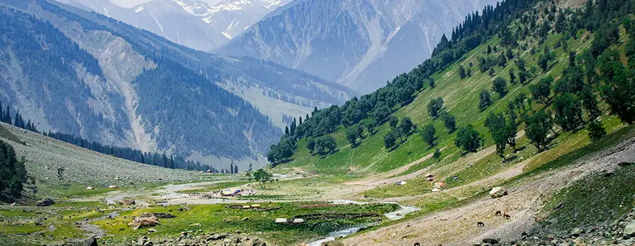 <?php echo Get Kashmir Travel Assistance from Local Experts ?>