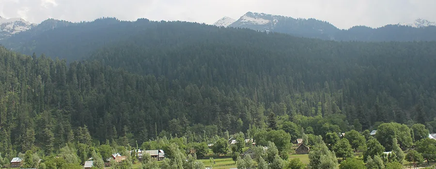 <?php echo Looking For Premium Kashmir Holiday with Luxury Hotels ?>