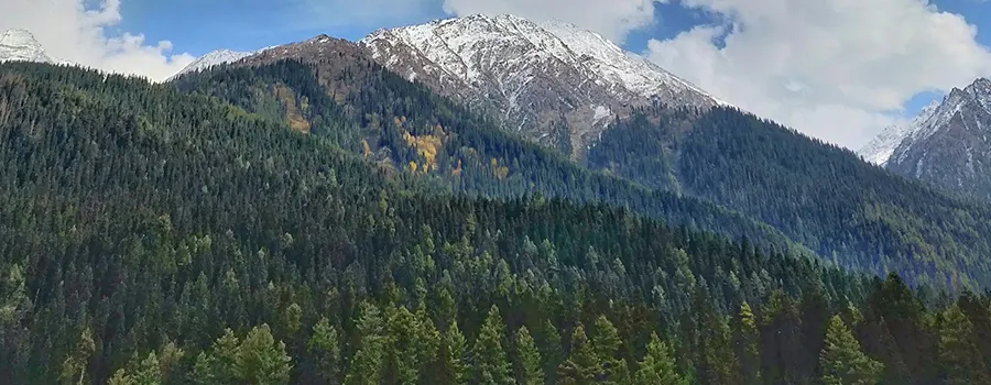 <?php echo Book Srinagar Kashmir Tour Package with Houseboat Stay ?>
