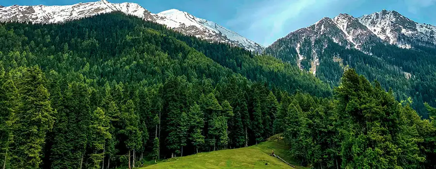 <?php echo Need Help Planning Srinagar Trip with Expert Guidance ?>