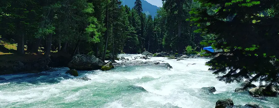 <?php echo Book Gulmarg Kashmir Tour Package with Gondola Ride ?>