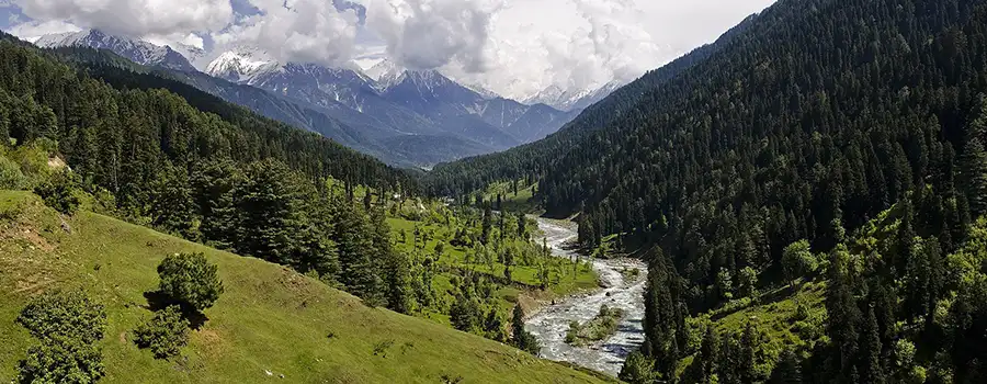<?php echo Looking For Gulmarg Travel Planner with Local Experts ?>