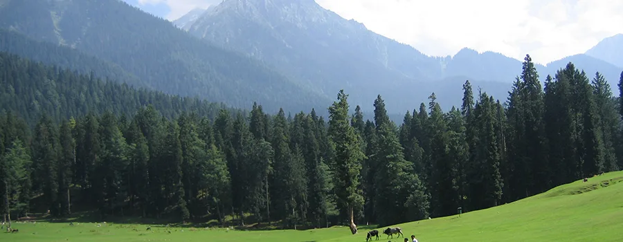 <?php echo Plan Pahalgam Valley Trip with Private Cab ?>