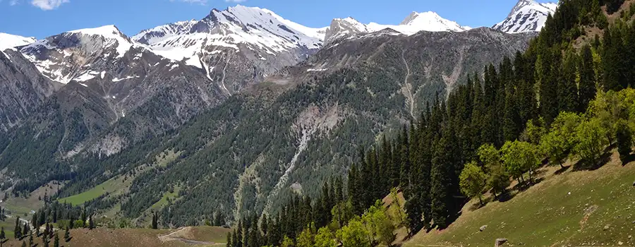 <?php echo Best Kashmir Nature Tour Package ?>