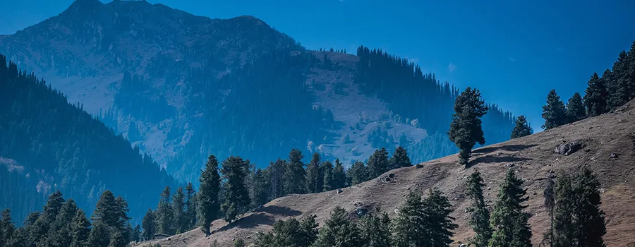 <?php echo Guided Kashmir Snowfall Trip ?>