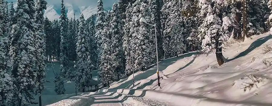 <?php echo Kashmir Snow Holiday With Gulmarg Package ?>
