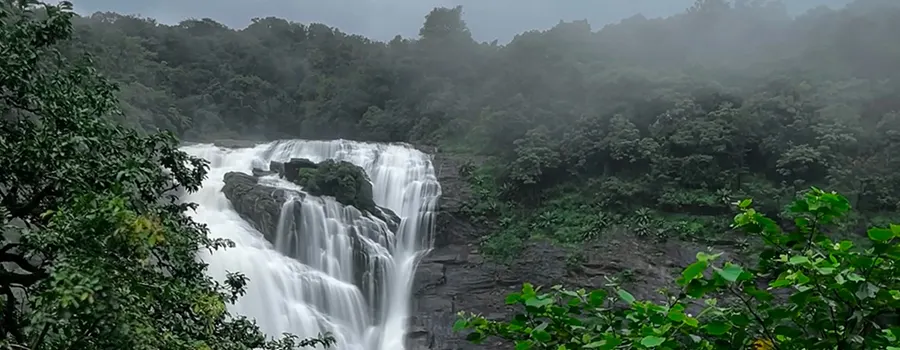 <?php echo Kodagu Travel Tips Dos Donts ?>