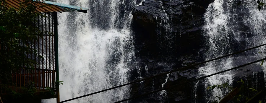 <?php echo Things To Avoid Kodagu ?>