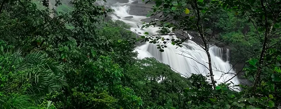 <?php echo Camping Sites Kodagu ?>