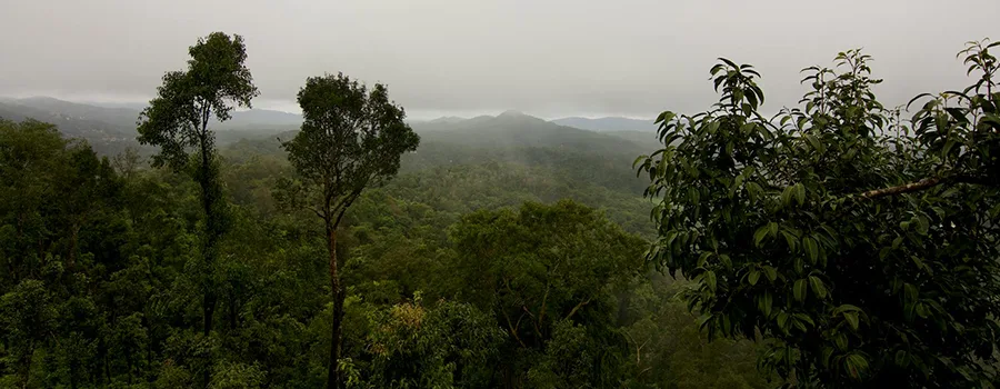 <?php echo Village Homestays Kodagu ?>
