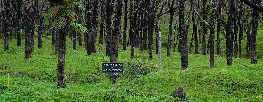 <?php echo Hidden Places Kodagu ?>