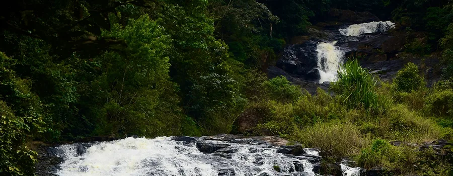 <?php echo Short Trips Kodagu ?>