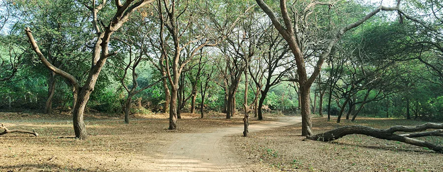 <?php echo Best Detours Kodagu ?>