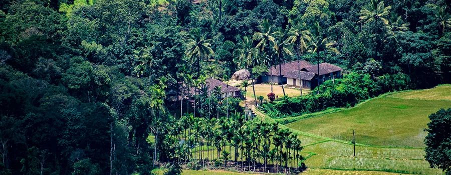 <?php echo Local Sightseeing Kodagu ?>