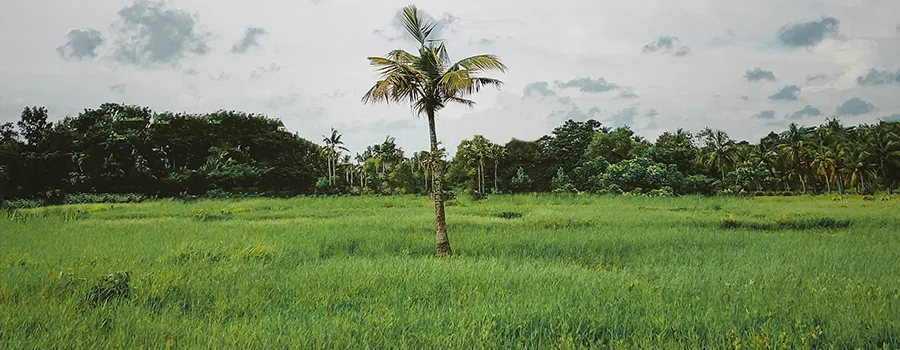 <?php echo Senior Couple Getaways Mandya ?>