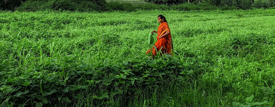 <?php echo Grandparent Travel Mandya With Tour Support ?>