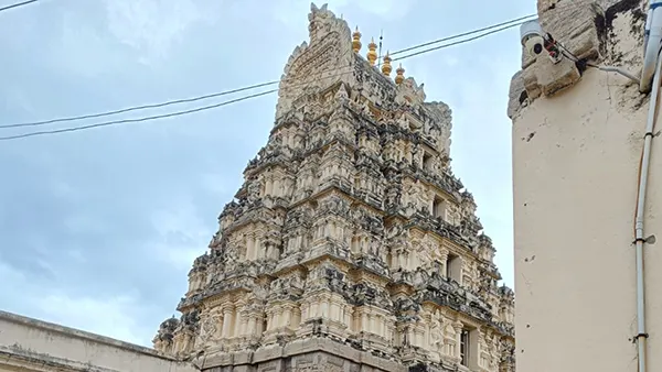 <?php echo pilgrimage tours for seniors in Mysore with personal guide ?>